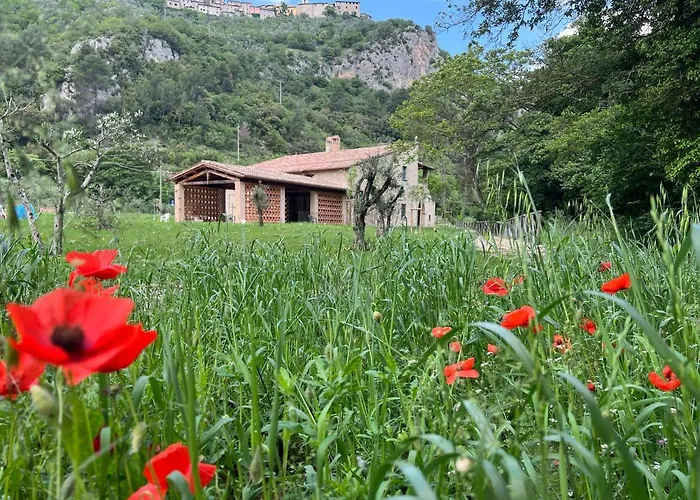 Mulinonera