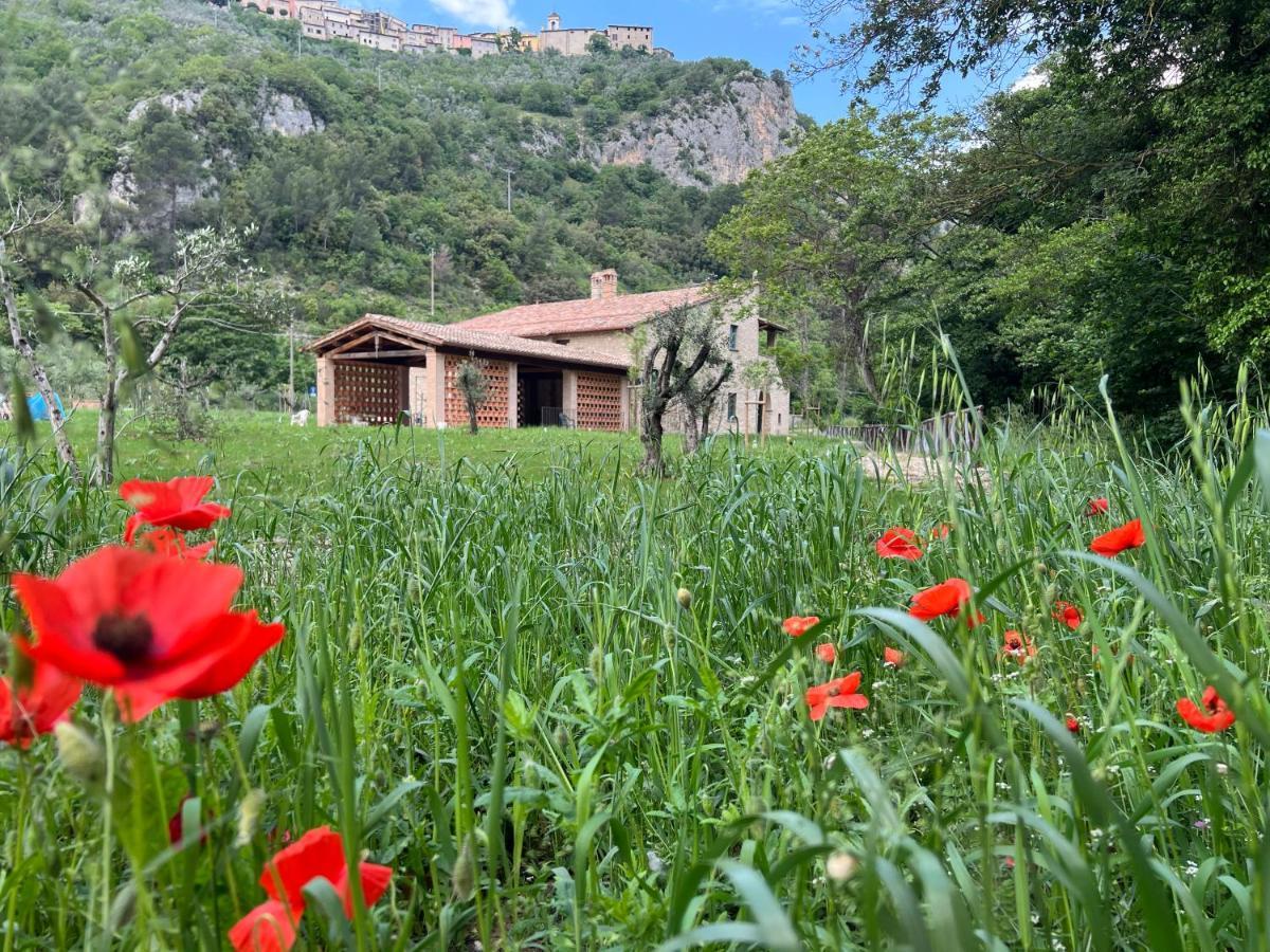 Mulinonera Maison d'hôtes Montefranco